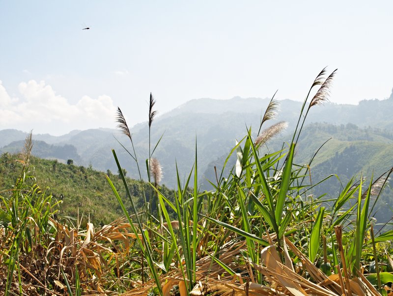 Vang Vieng